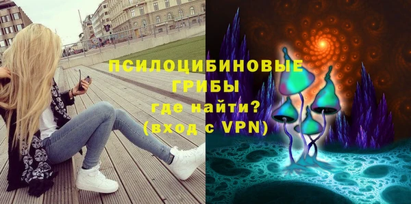 дживик Алексеевка
