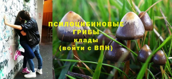 дживик Алексеевка