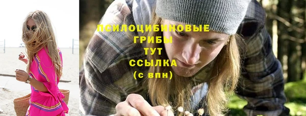ALPHA PVP Арсеньев