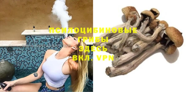 дживик Алексеевка