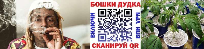 Бошки марихуана THC 21%  Сосновый Бор 